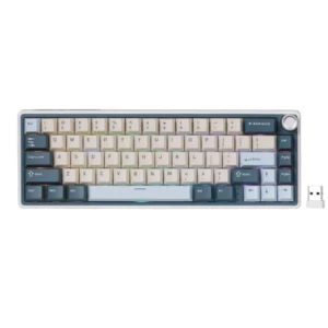 R65 65% Wireless Gaming Keyboard (QMK/VIA)
